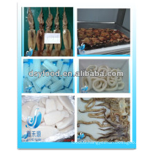 Frozen squid products
